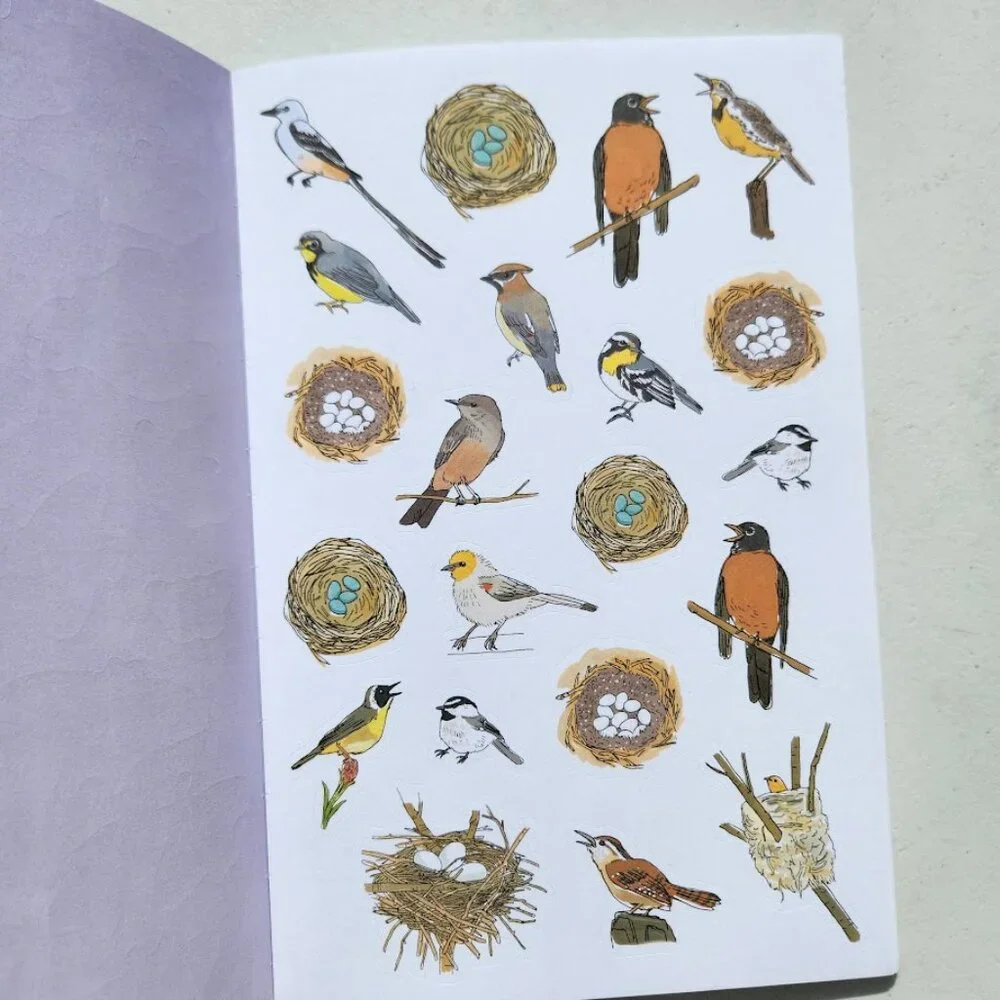 Nature Anatomy Sticker Book Julia Rothman 750 Stickers birds, feathers, wildflow